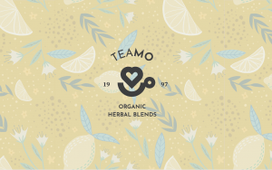 Read more about the article Teamo – packaging and logo