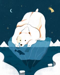 Read more about the article Polar bear